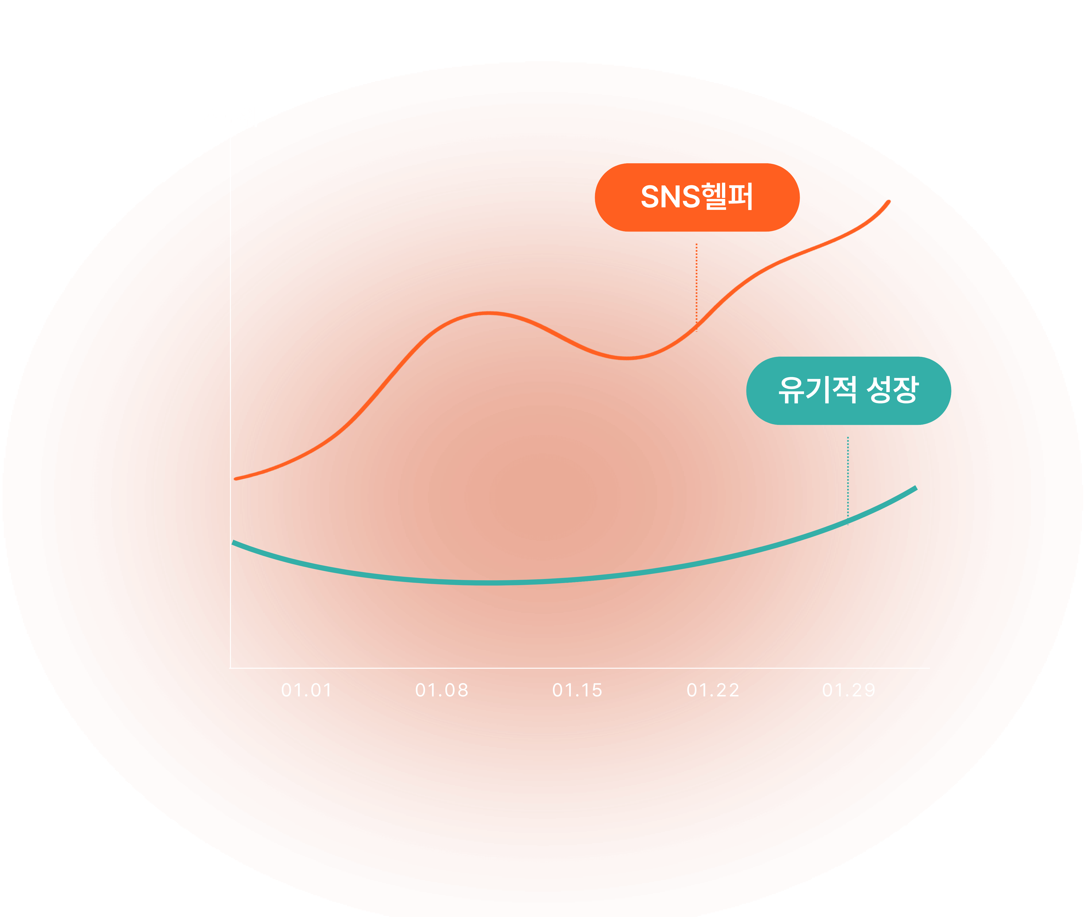 SNS헬퍼를 사용했을 때와 유기적인 성장을 했을 때의 성장 그래프 비교 이미지